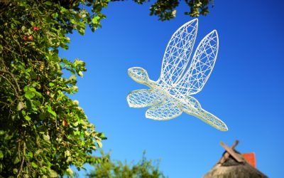 3D Dragonfly