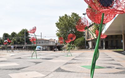 3D Poppy / 3d Poppy with hole